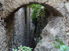 183 D24 BORMES LES MIMOSAS 2_000003